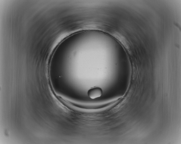 X0000099231342200805011129