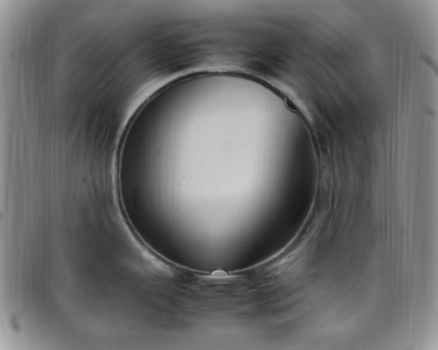 X0000099231343200805011129