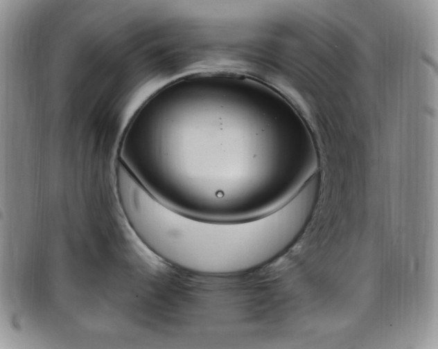 X0000099231344200805011129