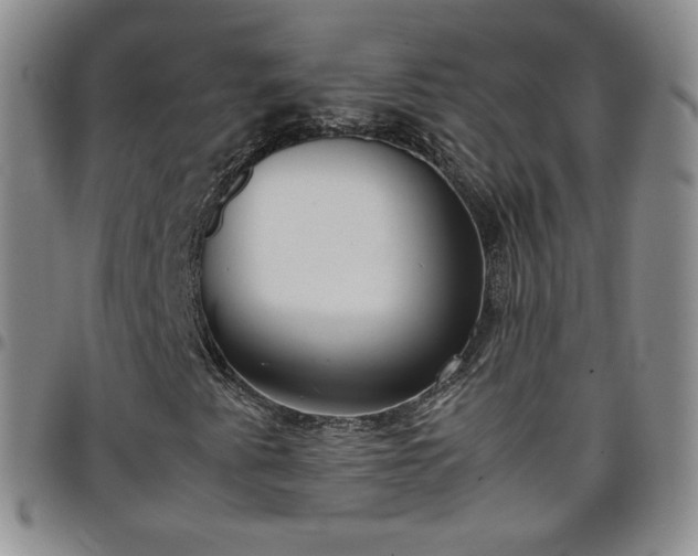 X0000099231345200805011128