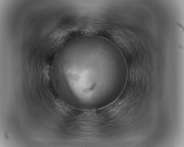 X0000099231346200805011128