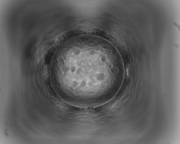 X0000099231347200805011128