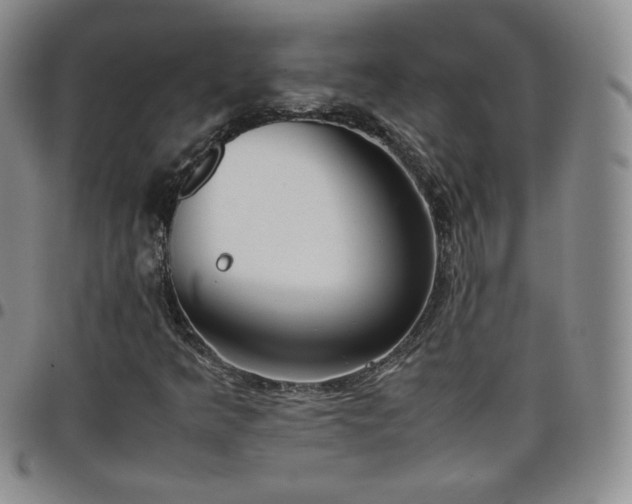 X0000099231349200805011128