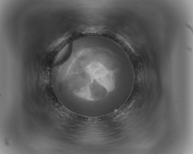 X0000099231350200805011128