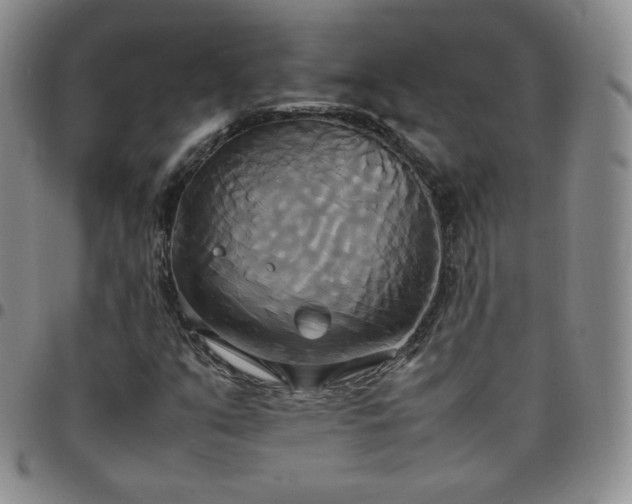 X0000099231351200805011128