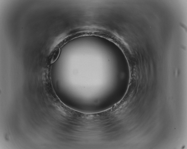 X0000099231352200805011128