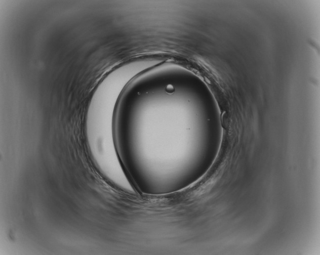 X0000099231353200805011128