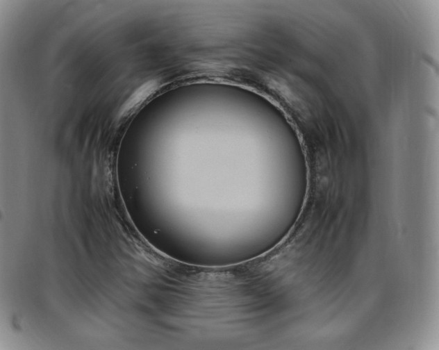 X0000099231354200805011128