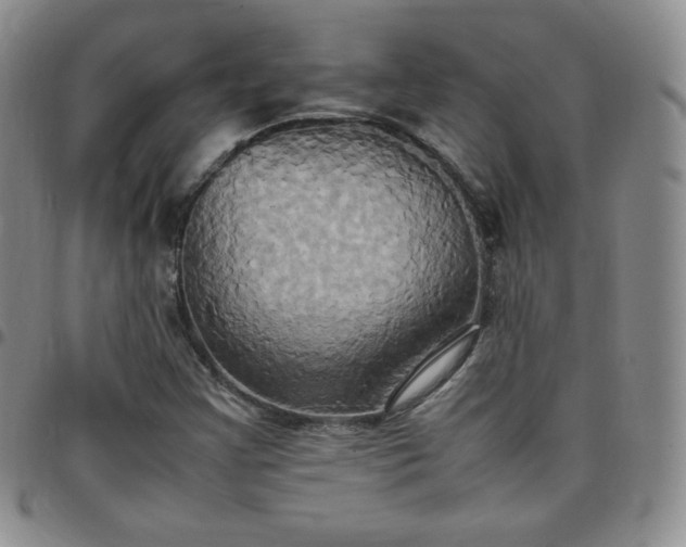 X0000099231355200805011128