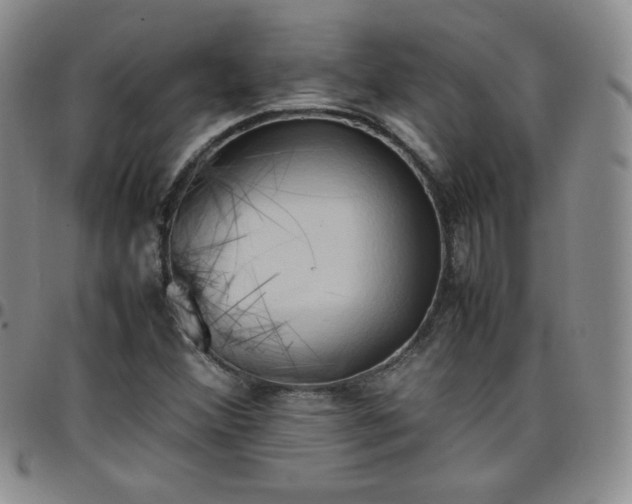 X0000099231356200805011128