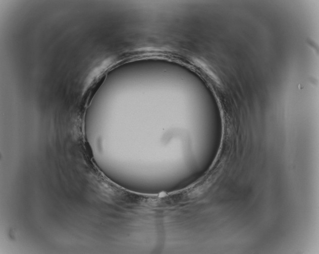 X0000099231357200805011128