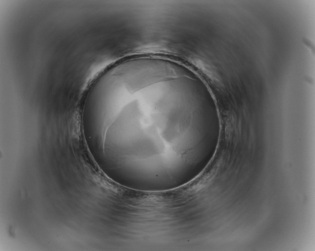 X0000099231358200805011128