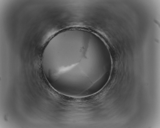 X0000099231359200805011128