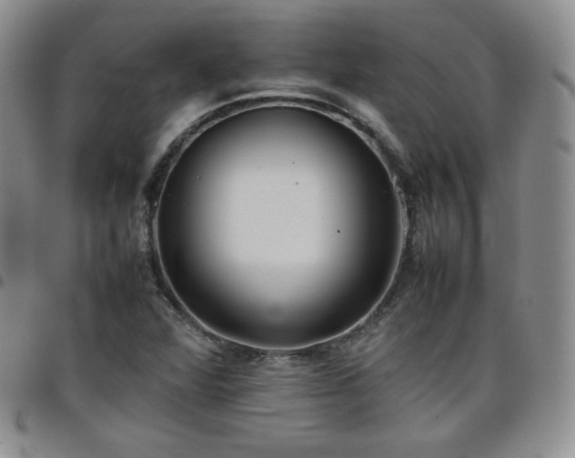 X0000099231360200805011128