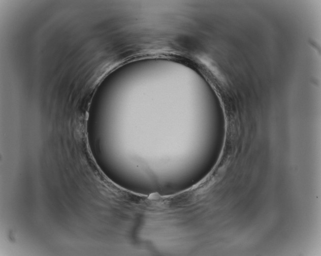 X0000099231361200805011128