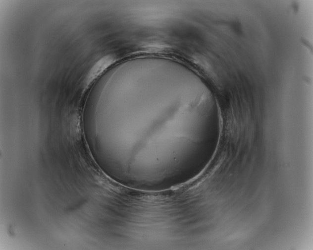 X0000099231362200805011128