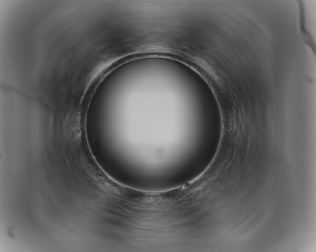 X0000099231364200805011128