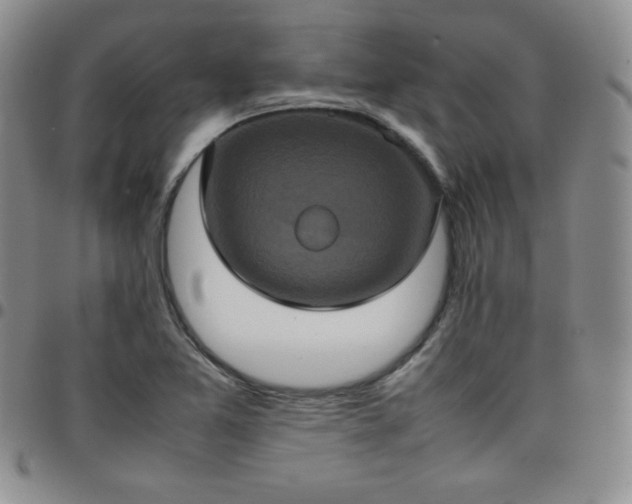 X0000099231365200805011128