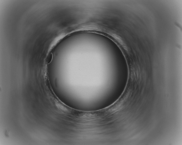 X0000099231366200805011128