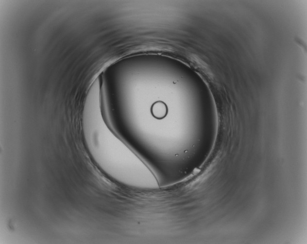 X0000099231369200805011128