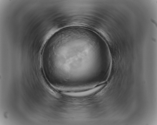 X0000099231371200805011128