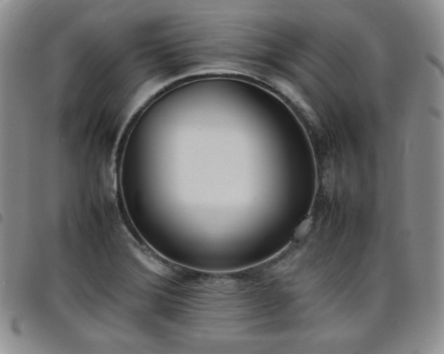 X0000099231372200805011128