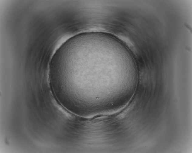 X0000099231374200805011128