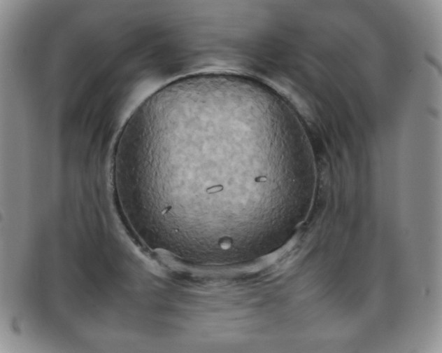 X0000099231375200805011128