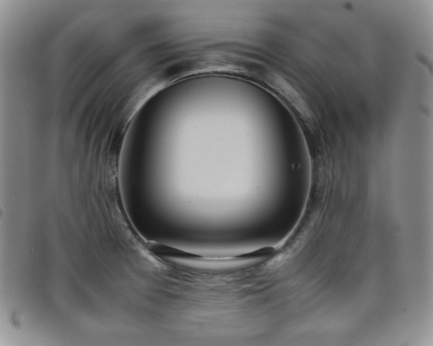 X0000099231377200805011127