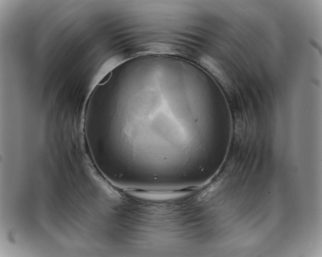 X0000099231378200805011127