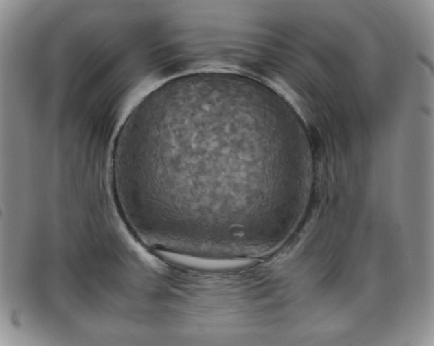 X0000099231379200805011127