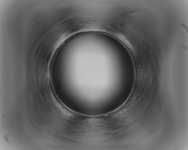 X0000099231380200805011127