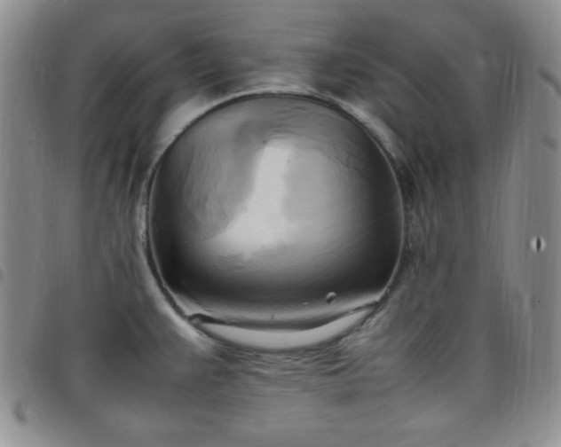 X0000099231383200805011127