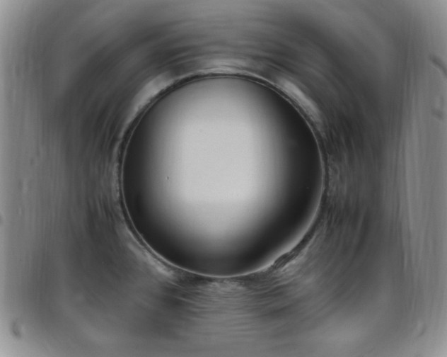 X0000099231384200805011127