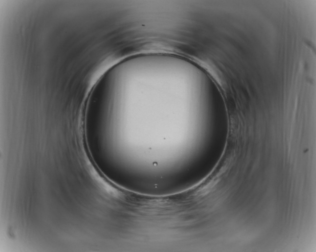 X0000099231387200805011127