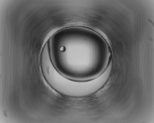 X0000099231389200805011127