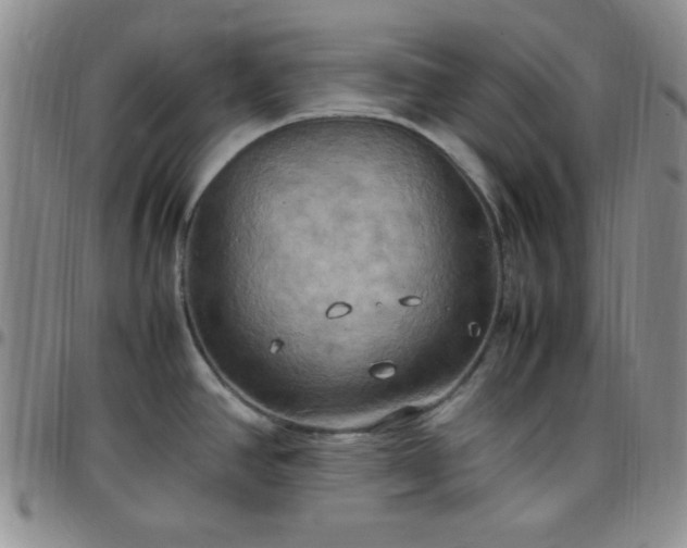 X0000099231390200805011127