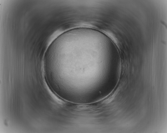 X0000099231391200805011127