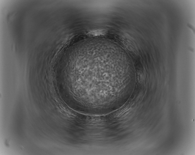 X0000099231393200805011127