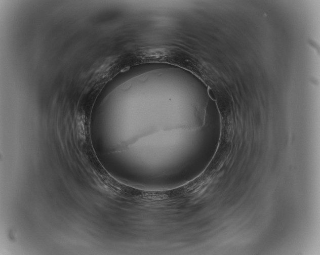 X0000099231394200805011127