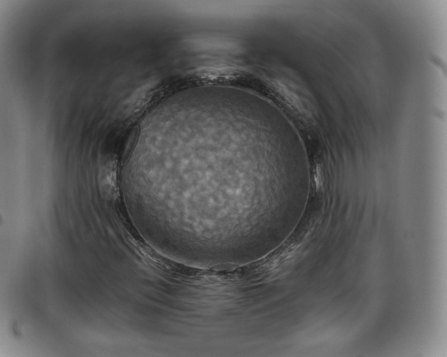 X0000099231396200805011127