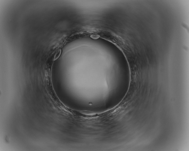 X0000099231397200805011127