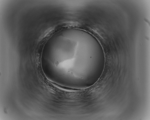 X0000099231399200805011127