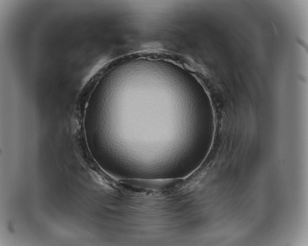 X0000099231400200805011127