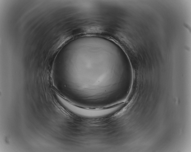 X0000099231401200805011127