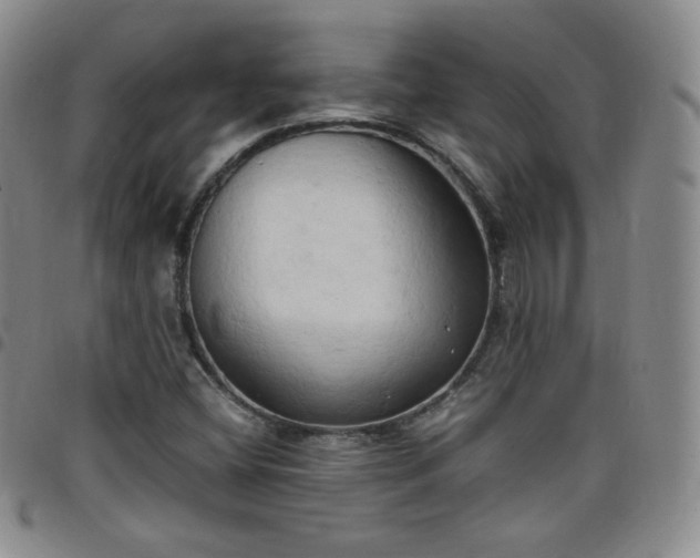 X0000099231404200805011127