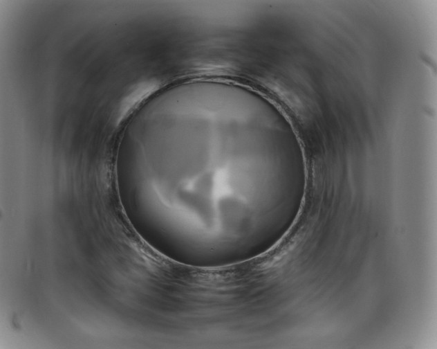 X0000099231405200805011127