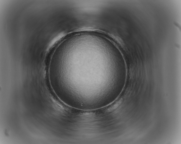 X0000099231406200805011127