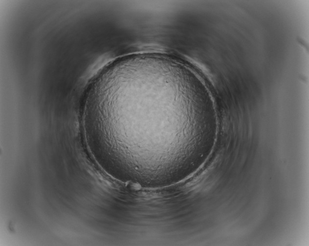 X0000099231407200805011127