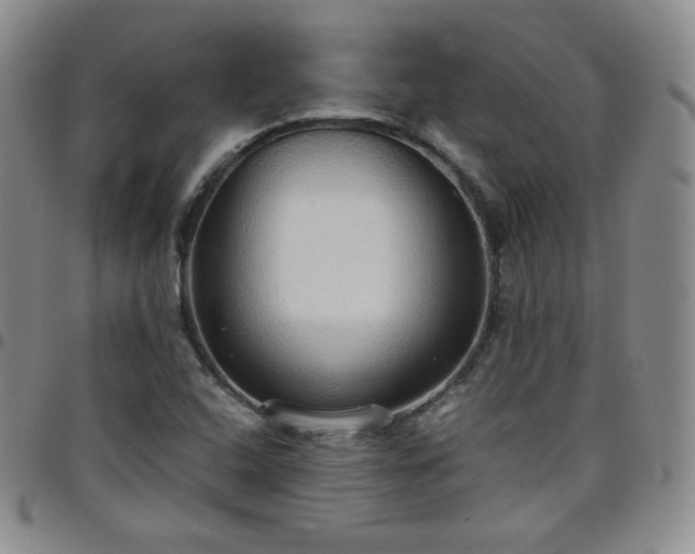 X0000099231408200805011127